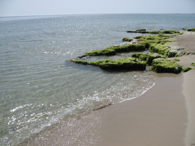  Relajación en el mar 